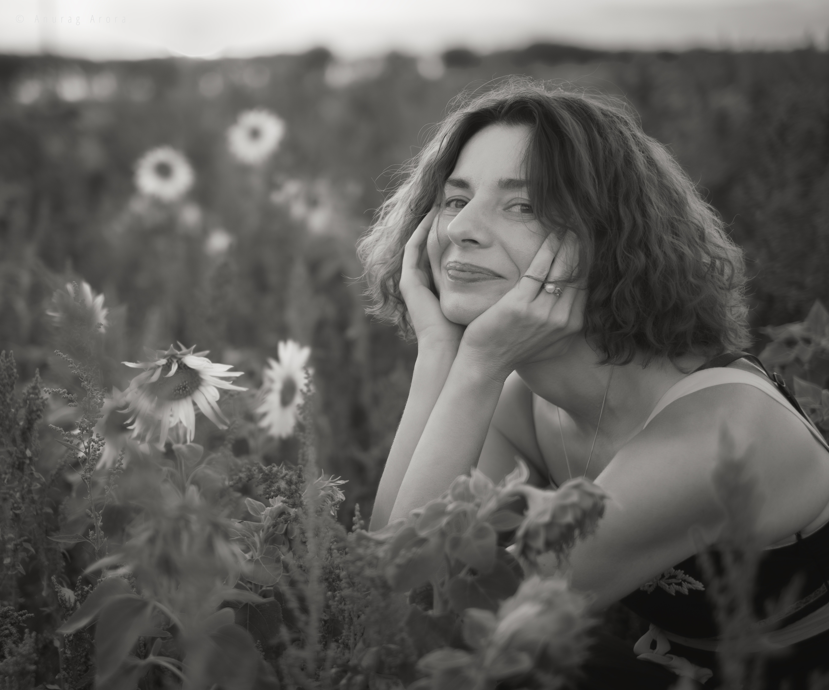 A Ukrainian in a Sunflower Farm
