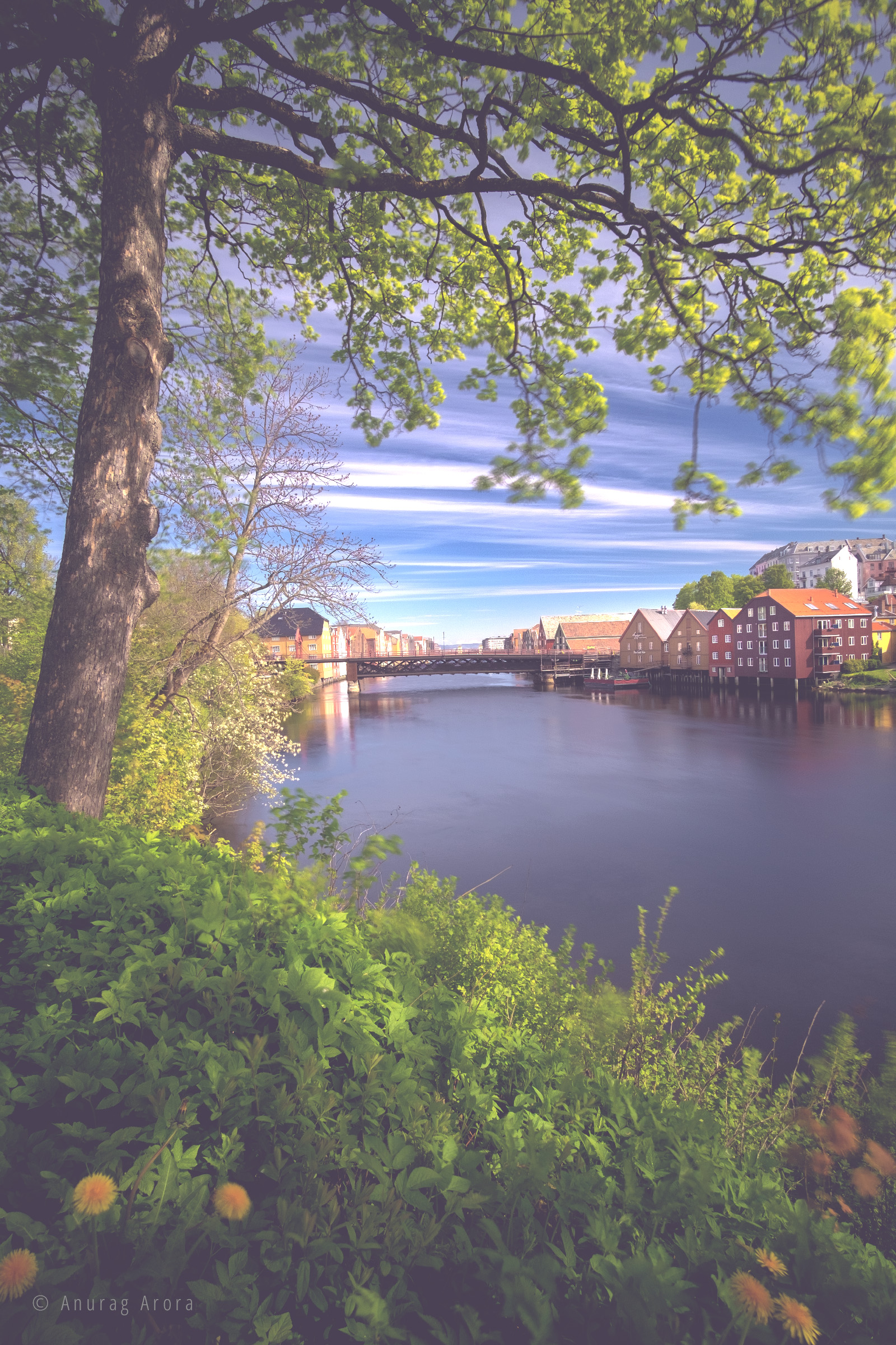 Nidelva River, Trondheim, Norway
