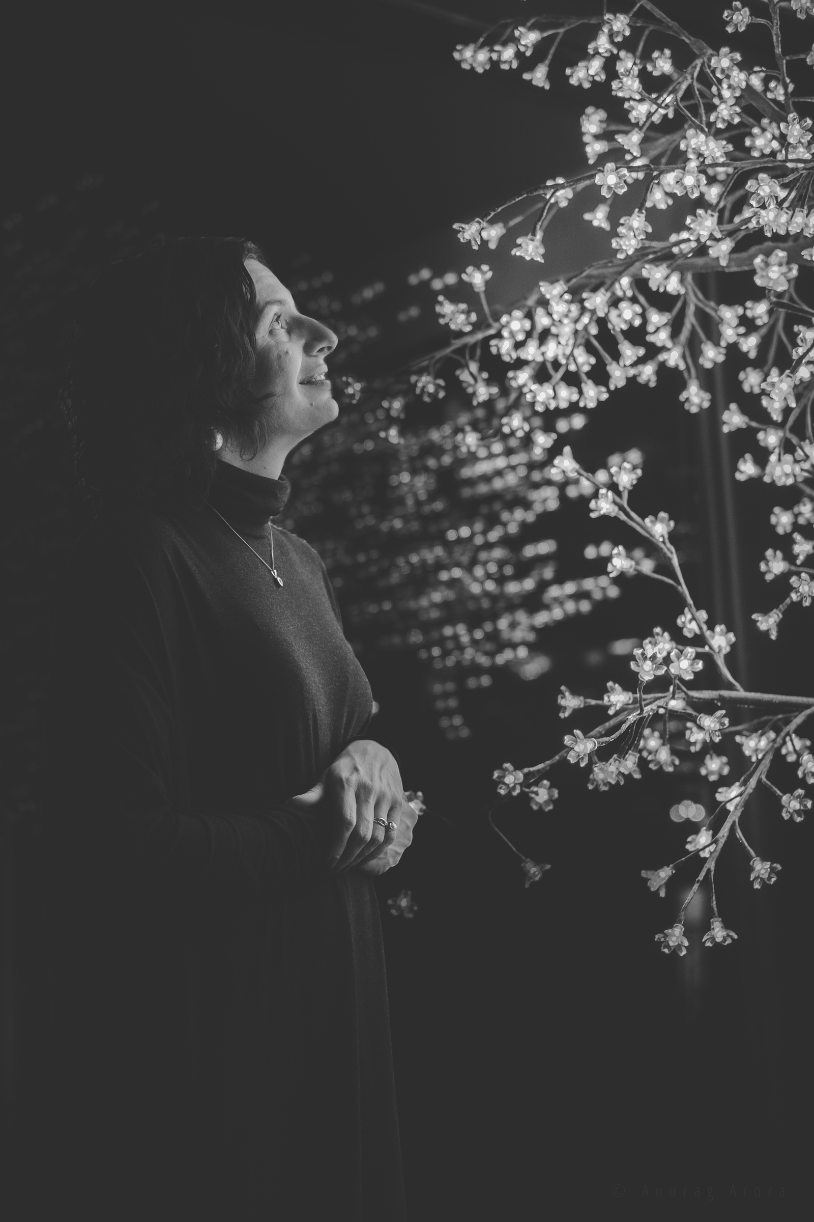 The Light Shines on You
