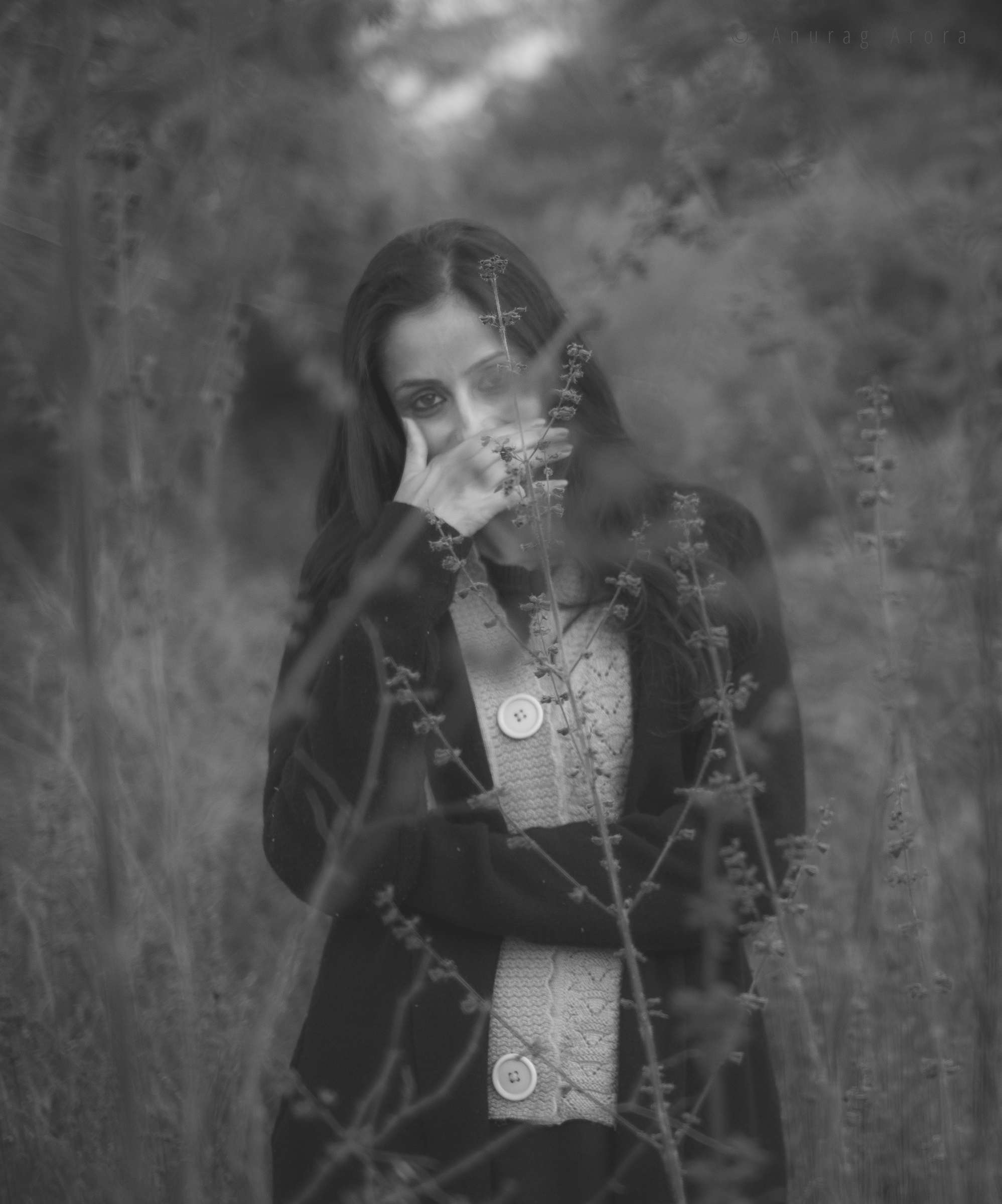 Veiled Laugh
